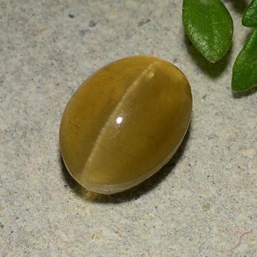 3.14ct Natural Amarelo marrom Apatita Olho de Gato, oval, Translúcido