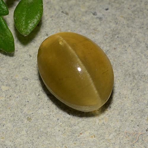 Apatita Olho de Gato Amarelo marrom Natural 3.14ct, oval, Translúcido