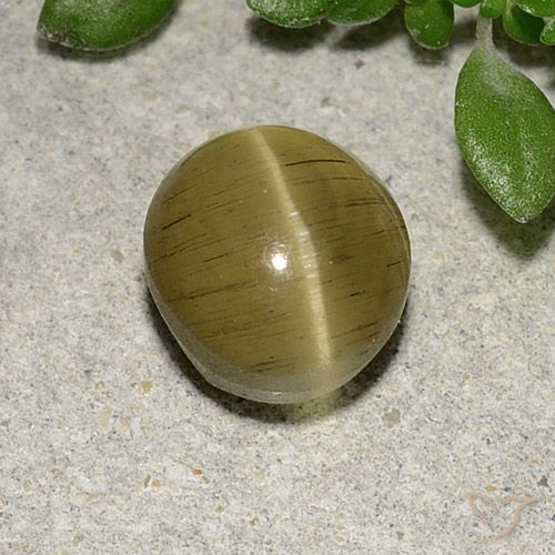 2.70ct Natural amarelo médio Apatita Olho de Gato, oval, Translúcido