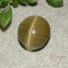 Apatita Olho de Gato amarelo médio Natural 2.70ct, oval, Translúcido