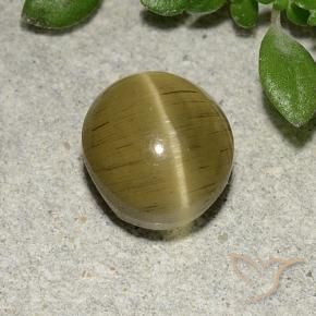 Apatita Olho de Gato amarelo médio Natural 2.70ct, oval, Translúcido