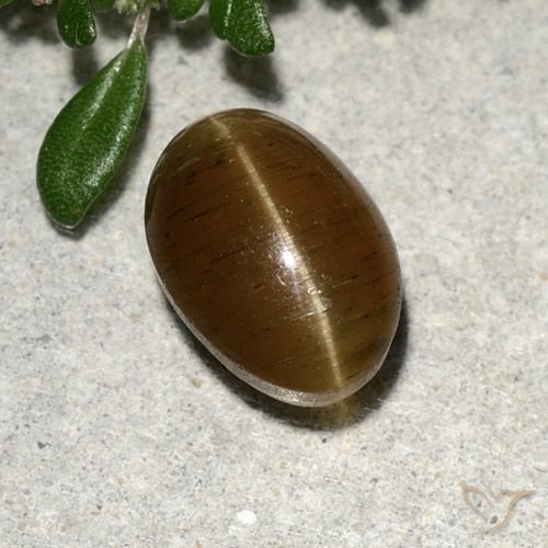 Apatita Olho de Gato Marrom Quente Natural 2.64ct, Corte Oval, Translúcido