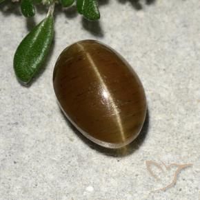 Apatita Olho de Gato Marrom Quente Natural 2.64ct, Corte Oval, Translúcido