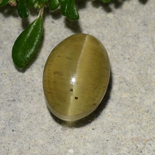 2.88ct Natural Amarelo acastanhado Apatita Olho de Gato, oval, Translúcido