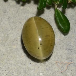 Apatita Olho de Gato Amarelo acastanhado Natural 2.88ct, oval, Translúcido