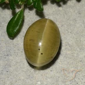 Apatita Olho de Gato Amarelo acastanhado Natural 2.88ct, oval, Translúcido