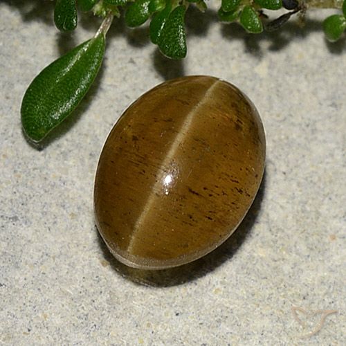 3.10ct Natural Marrom Quente Apatita Olho de Gato, oval, Translúcido