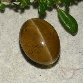 Apatita Olho de Gato Marrom Quente Natural 3.10ct, oval, Translúcido