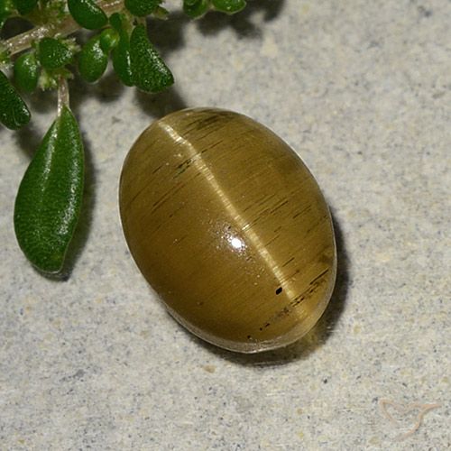 2.46ct Natural Amarelo acastanhado Apatita Olho de Gato, oval, Translúcido
