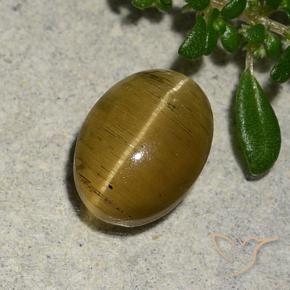 Apatita Olho de Gato Amarelo acastanhado Natural 2.46ct, oval, Translúcido