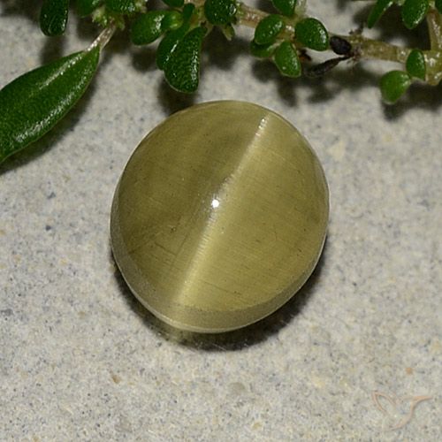 3.09ct Natural Amarelo Terroso Apatita Olho de Gato, oval, Translúcido