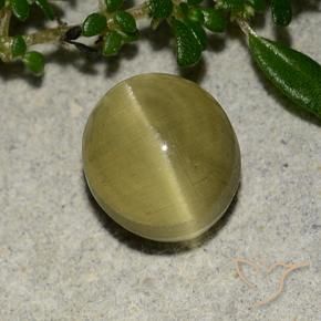 Apatita Olho de Gato Amarelo Terroso Natural 3.09ct, oval, Translúcido