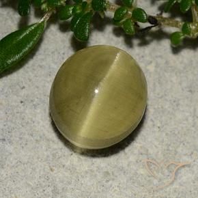 Apatita Olho de Gato Amarelo Terroso Natural 3.09ct, oval, Translúcido