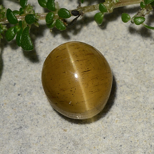 Cat's eye apatite dourado natural 2,60ct, corte oval, translúcido