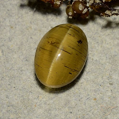 2.63ct Natural Amarelo Terroso Apatita Olho de Gato, oval, Translúcido