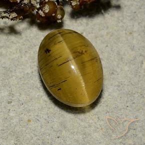 Apatita Olho de Gato Amarelo Terroso Natural 2.63ct, oval, Translúcido