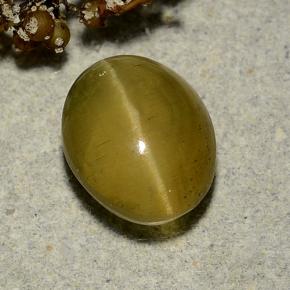 Apatita Olho de Gato Verde Dourado Natural 3.72ct, Corte Oval, Translúcido