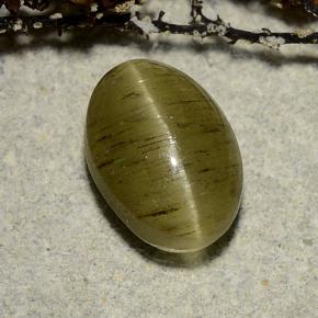 Cat's eye apatite verde natural 3,32ct, corte oval, translúcido