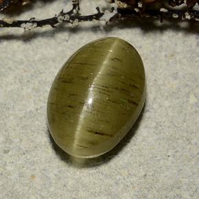 Cat's eye apatite verde natural 3,32ct, corte oval, translúcido
