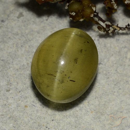 3.68ct Natural amarelo neutro Apatita Olho de Gato, oval, Translúcido
