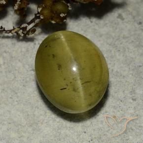 Apatita Olho de Gato amarelo neutro Natural 3.68ct, oval, Translúcido