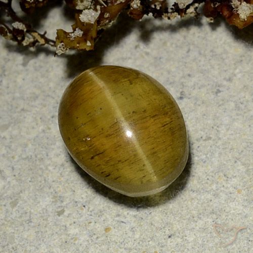 2.50ct Natural Amarelo marrom Apatita Olho de Gato, oval, Translúcido