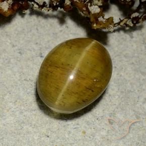 Apatita Olho de Gato Amarelo marrom Natural 2.50ct, oval, Translúcido