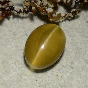 Apatita Olho de Gato Dourado Natural 2.40ct, Corte Oval, Translúcido