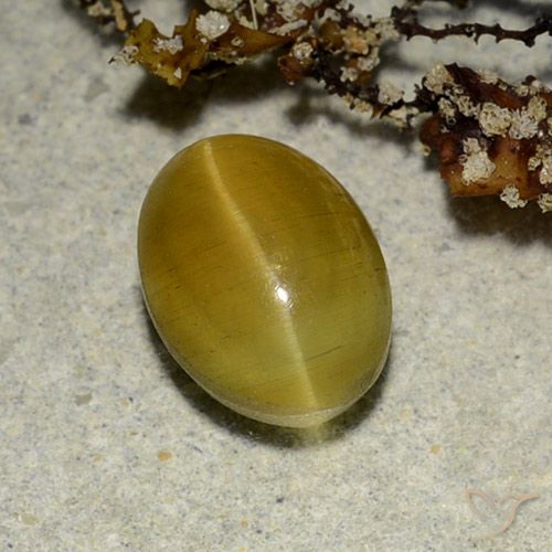 Cat's eye apatite amarelo natural 2,68ct, corte oval, translúcido