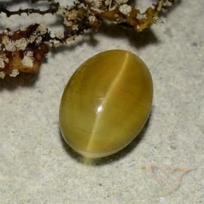 Cat's eye apatite amarelo natural 2,68ct, corte oval, translúcido