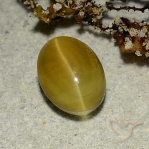 Cat's eye apatite amarelo natural 2,68ct, corte oval, translúcido