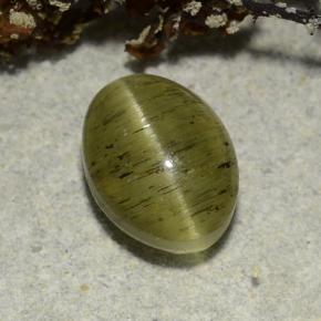 Apatita Olho de Gato Verde médio Natural 2.73ct, Corte Oval, Translúcido