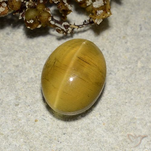 2.82ct Natural Amarelo marrom Apatita Olho de Gato, oval, Translúcido