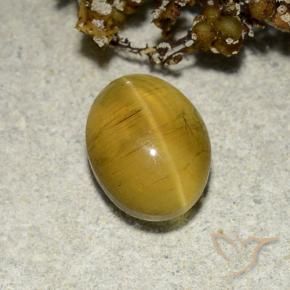 Apatita Olho de Gato Amarelo marrom Natural 2.82ct, oval, Translúcido