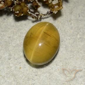 Apatita Olho de Gato Amarelo marrom Natural 2.82ct, oval, Translúcido