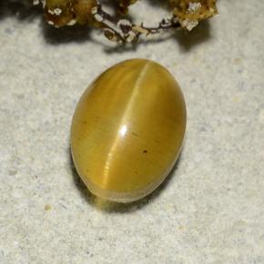 Cat's eye apatite amarelo natural 2,57ct, corte oval, translúcido