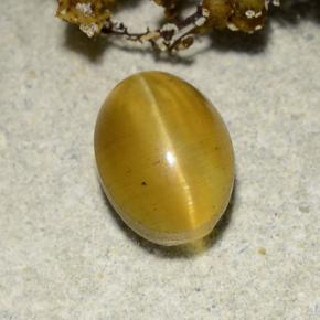 Cat's eye apatite amarelo natural 2,57ct, corte oval, translúcido