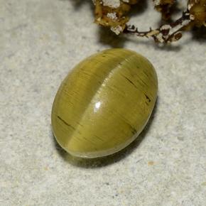 Cat's eye apatite dourado natural 2,83ct, corte oval, translúcido