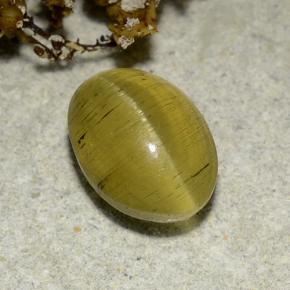 Cat's eye apatite dourado natural 2,83ct, corte oval, translúcido