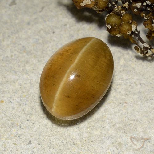 3.48ct Natural Marrom dourado Apatita Olho de Gato, oval, Translúcido