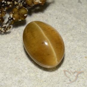 Apatita Olho de Gato Marrom dourado Natural 3.48ct, oval, Translúcido