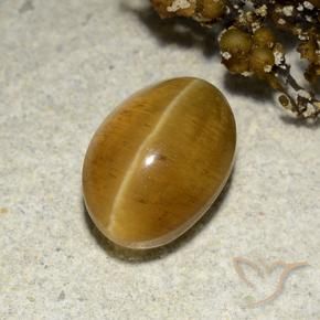Apatita Olho de Gato Marrom dourado Natural 3.48ct, oval, Translúcido