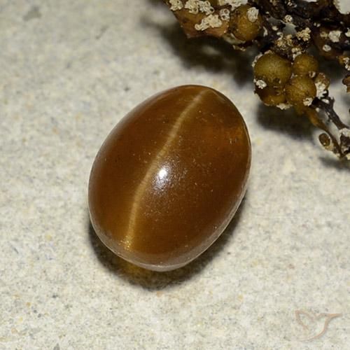 3.12ct Natural Marrom Quente Apatita Olho de Gato, oval, Translúcido