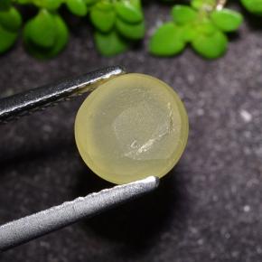 Apatita Olho de Gato Amarelo Terroso Natural 2.17ct, Corte Redondo, Translúcido