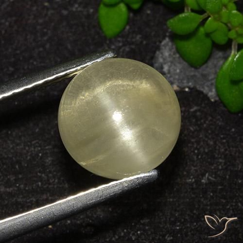 Apatita Olho de Gato amarelo neutro Natural 4.18ct, Corte Redondo, Transparente