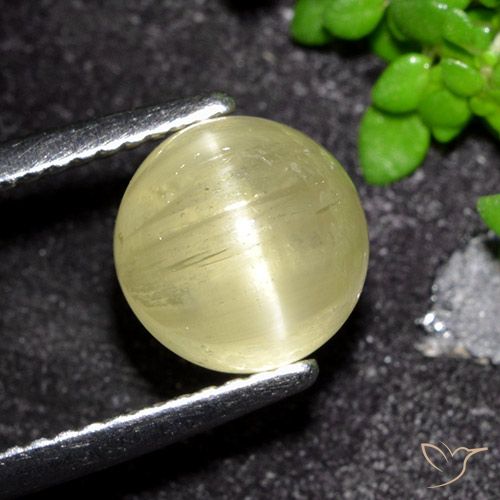 3.41ct Natural amarelo médio Apatita Olho de Gato, Redondo, Translúcido