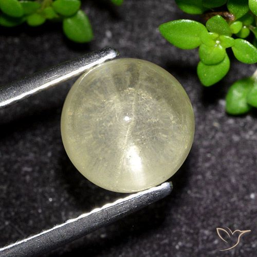 3.48ct Natural Amarelo claro Apatita Olho de Gato, Redondo, Transparente
