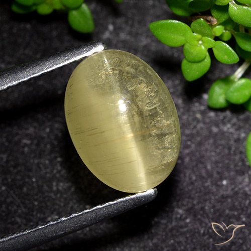 3.09ct Natural amarelo médio Apatita Olho de Gato, oval, Transparente
