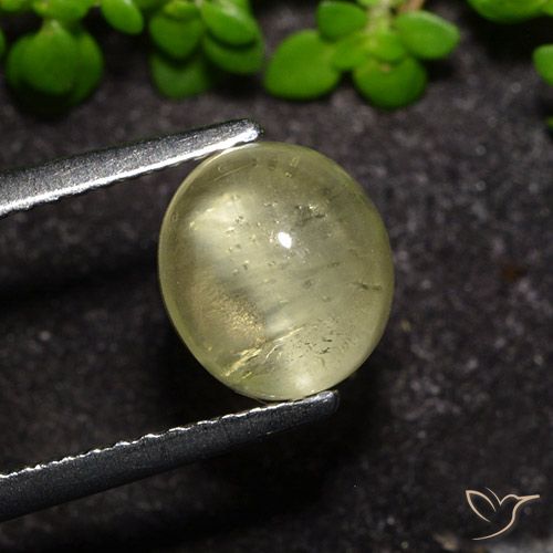 2.34ct Natural amarelo neutro Apatita Olho de Gato, oval, Transparente