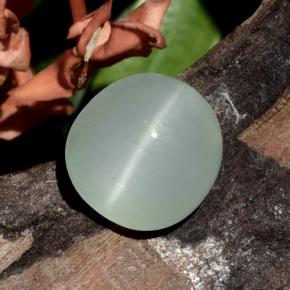 Olho de gato Água-marinha Light Bluish Green  Natural 7.75ct, Corte Oval, Translúcido